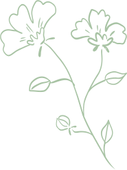 広島ネイルスクール｜アセトン不使用の完全オーガニック自爪育成ネイルケアLOHAS